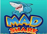 MAD Shark 2021