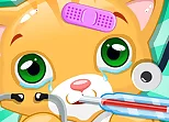 Little Cat Doctor Pet Vet Game