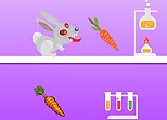 Rabid Rabbit