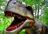 Dinosaurs Scary Teeth Puzzle