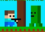 Minescraft Steve Adventures