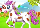 Baby Taylor Cute Pony Care