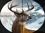 Hunter 3d