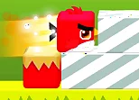 Square Bird