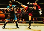 Fighters in the Ring