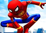 Spider Man Hanger