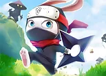 Ninja Rabbit
