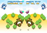 Sky Fly