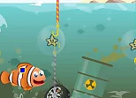 Fast Fish