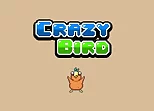 Crazy Bird