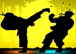 Shadow Fights