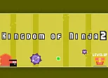 Kingdom of Ninja 2