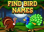 Find Birds Names