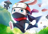Ninja Rabbit