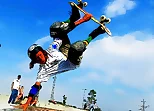 Free Style Skateboarders