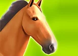 Horse Run 3D