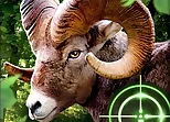 Crazy Goat Hunter 2020