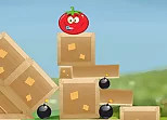 Roll Tomato