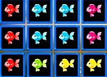 1010 Fish Blocks