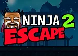 Ninja Escape 2