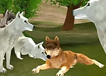 Wild Wolves