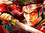Samurai Reflexion