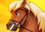Horse Shoeing