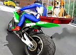 Motorcycle Pet Delivery