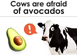 True False - Quiz