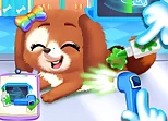 Newborn Puppy Dog Salon