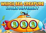 Which Sea Creature Looks Different