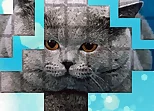 PicPu - Cat Puzzle