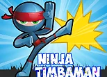 Ninja Timba Man