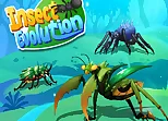 Insect Evolution