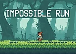 Impossible Run