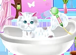 Pet Groomer