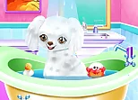 My New Poodle Friend