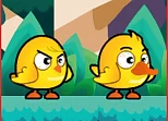 Chicken And Duck Brothers