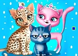 Cat Hair Salon