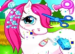 Horse Pet Salon 3D