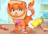 Cute Pet Doctor Care
