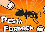 Pesta Formica