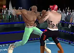 Real Boxing Fighting Game