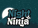 Night Ninja