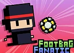 Footbag Fanatic