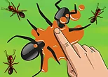 Smash the Ant