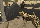 African Cheetah Hunting Simulator