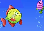 Fish Grow Eating Fish