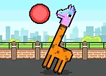 Volley Lama