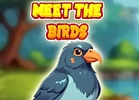 Meet The Birds